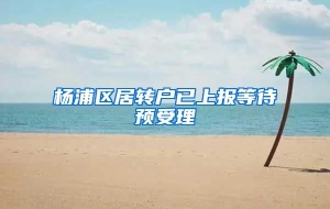 杨浦区居转户已上报等待预受理