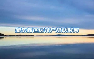 浦东新区居转户排队时间