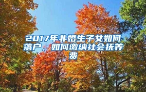 2017年非婚生子女如何落户，如何缴纳社会抚养费