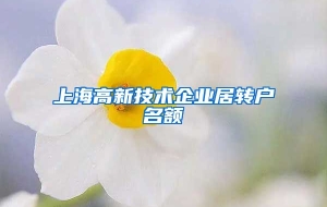 上海高新技术企业居转户名额