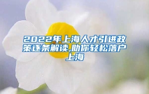 2022年上海人才引进政策逐条解读,助你轻松落户上海