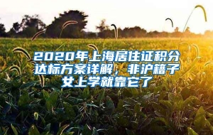 2020年上海居住证积分达标方案详解，非沪籍子女上学就靠它了