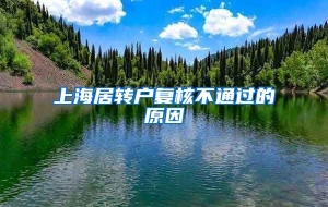 上海居转户复核不通过的原因