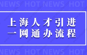 2022年最新上海人才引进一网通办流程图（更新版）