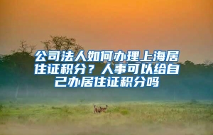 公司法人如何办理上海居住证积分？人事可以给自己办居住证积分吗