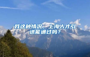 我这种情况，上海人才引进能通过吗？