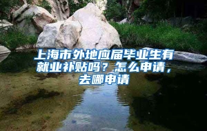 上海市外地应届毕业生有就业补贴吗？怎么申请，去哪申请