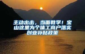 主动出击，当面教学！宝山这里为个体工商户落实创业补贴政策