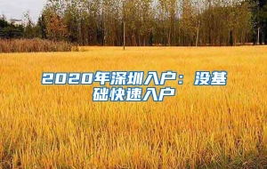 2020年深圳入户：没基础快速入户