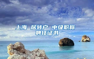 上海 居转户 中级职称 聘任证书