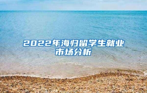 2022年海归留学生就业市场分析