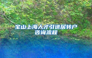 宝山上海人才引进居转户咨询流程