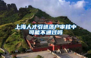 上海人才引进落户审核中可能不通过吗