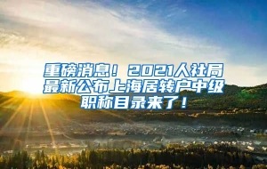 重磅消息！2021人社局最新公布上海居转户中级职称目录来了！