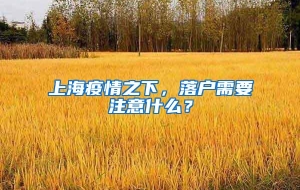 上海疫情之下，落户需要注意什么？