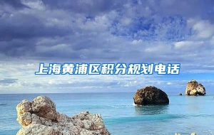 上海黄浦区积分规划电话