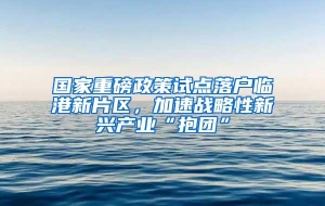 国家重磅政策试点落户临港新片区，加速战略性新兴产业“抱团”