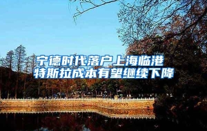 宁德时代落户上海临港 特斯拉成本有望继续下降