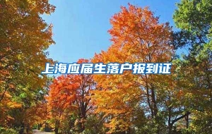 上海应届生落户报到证