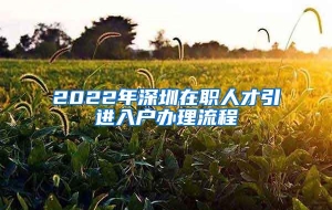 2022年深圳在职人才引进入户办理流程