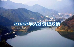 2022年人才引进政策