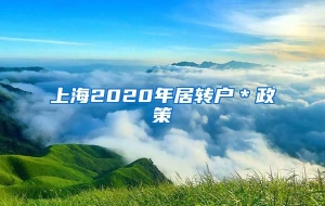 上海2020年居转户＊政策