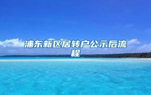 浦东新区居转户公示后流程