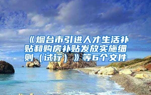 《烟台市引进人才生活补贴和购房补贴发放实施细则（试行）》等6个文件