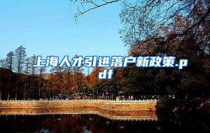 上海人才引进落户新政策.pdf