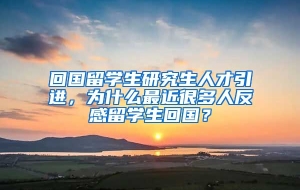 回国留学生研究生人才引进，为什么最近很多人反感留学生回国？