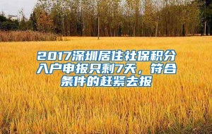 2017深圳居住社保积分入户申报只剩7天，符合条件的赶紧去报