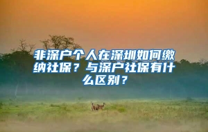 非深户个人在深圳如何缴纳社保？与深户社保有什么区别？