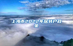 上海市2022年居转户政策