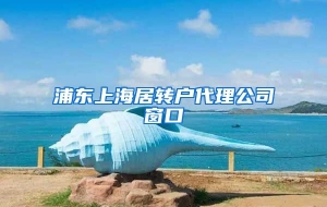 浦东上海居转户代理公司窗口