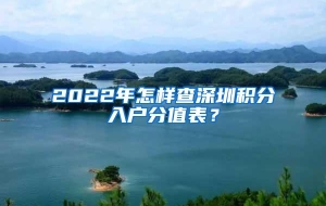 2022年怎样查深圳积分入户分值表？