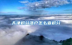 天津积分落户怎么查积分