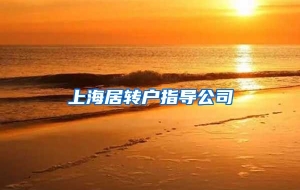 上海居转户指导公司