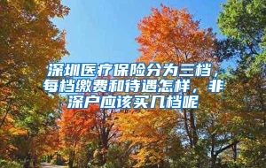 深圳医疗保险分为三档，每档缴费和待遇怎样，非深户应该买几档呢