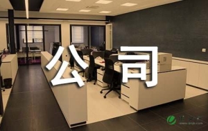 公司企业人才引进计划方案