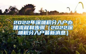 2022年深圳积分入户办理流程和步骤（2022深圳积分入户最新消息）