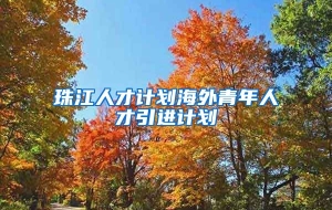 珠江人才计划海外青年人才引进计划