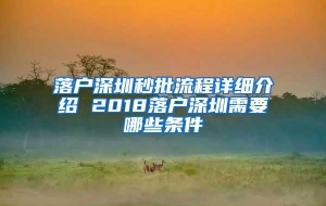 落户深圳秒批流程详细介绍 2018落户深圳需要哪些条件