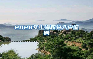 2020年上海积分入户细则