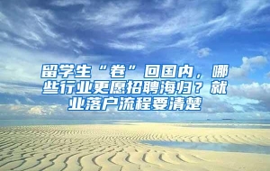 留学生“卷”回国内，哪些行业更愿招聘海归？就业落户流程要清楚