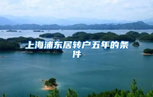 上海浦东居转户五年的条件