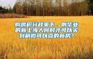 购房积分政策下，刚毕业的新上海人何时才可以买到稍微可以点的新房？