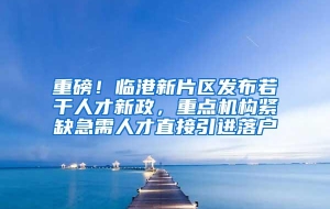 重磅！临港新片区发布若干人才新政，重点机构紧缺急需人才直接引进落户