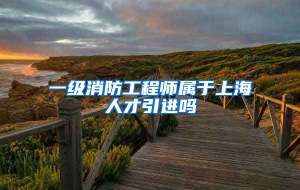 一级消防工程师属于上海人才引进吗