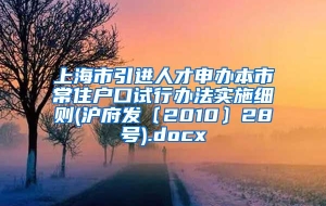 上海市引进人才申办本市常住户口试行办法实施细则(沪府发〔2010〕28号).docx