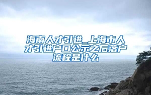 海南人才引进_上海市人才引进户口公示之后落户流程是什么